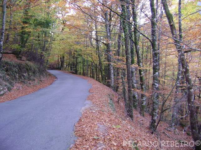 ai279.photobucket.com_albums_kk126_Rimeri_Paisagens_Geres02.jpg