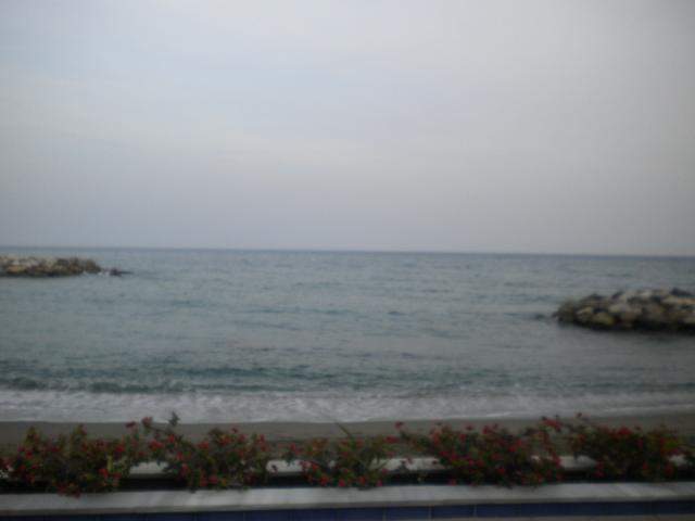 ai286.photobucket.com_albums_ll94_tiago_maia_DSCN1793.jpg