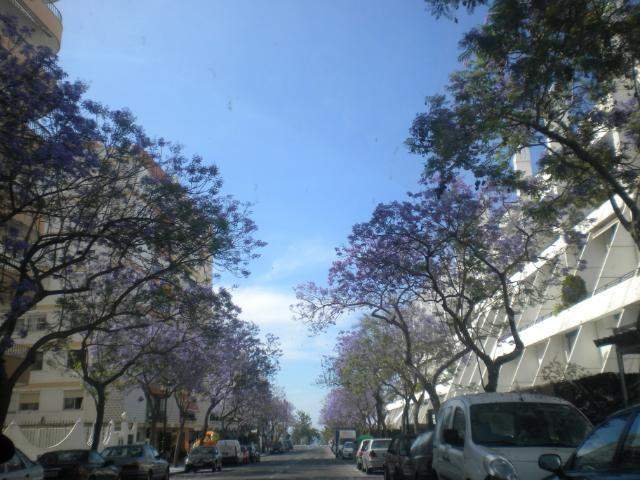 ai286.photobucket.com_albums_ll94_tiago_maia_DSCN1806.jpg