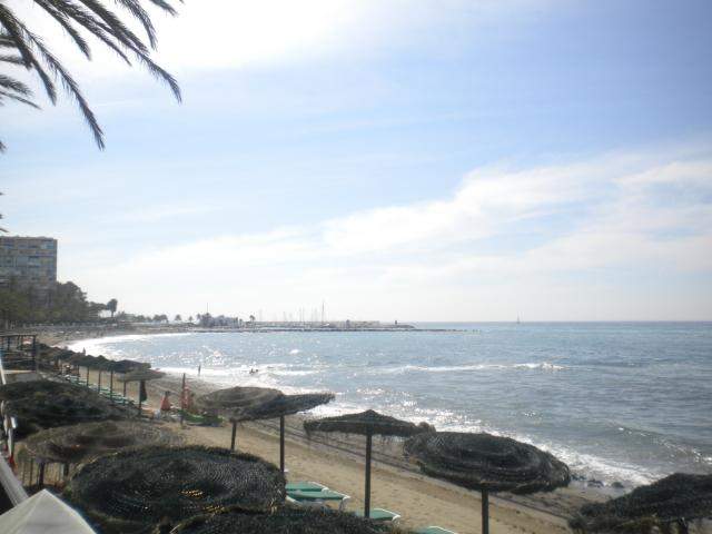 ai286.photobucket.com_albums_ll94_tiago_maia_DSCN1808.jpg