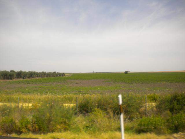 ai286.photobucket.com_albums_ll94_tiago_maia_DSCN1995.jpg