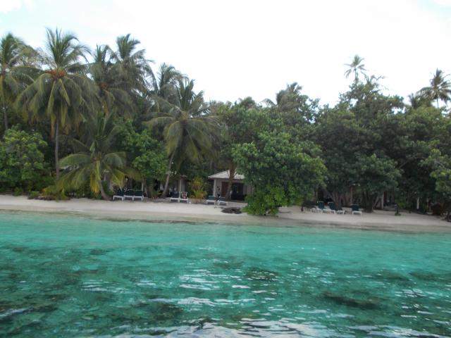 ai286.photobucket.com_albums_ll94_tiago_maia_Maldivas_DSCN0892_zps7608b9c7.jpg