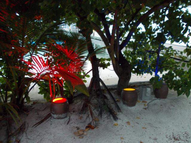 ai286.photobucket.com_albums_ll94_tiago_maia_Maldivas_DSCN0960_zpsd8b0c5b0.jpg