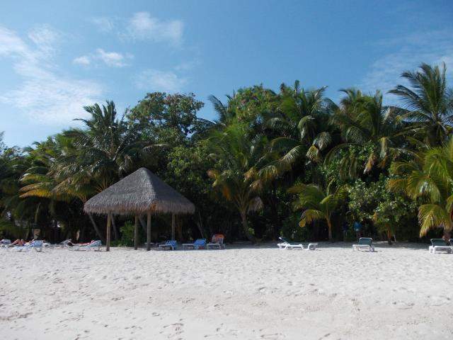 ai286.photobucket.com_albums_ll94_tiago_maia_Maldivas_DSCN1107_zps77ce441a.jpg