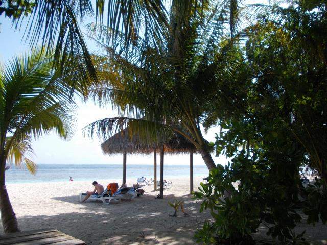ai286.photobucket.com_albums_ll94_tiago_maia_Maldivas_DSCN1120_zpsf95995c4.jpg