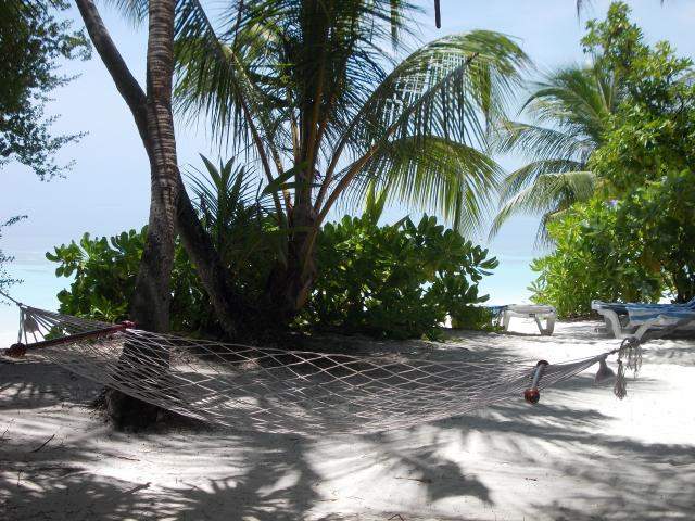 ai286.photobucket.com_albums_ll94_tiago_maia_Maldivas_DSCN1198_zpsfc3e13c0.jpg
