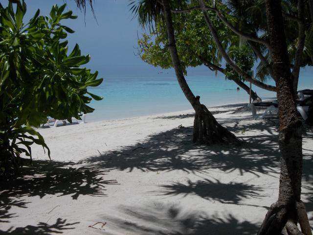 ai286.photobucket.com_albums_ll94_tiago_maia_Maldivas_DSCN1199_zpsdc27eaa7.jpg