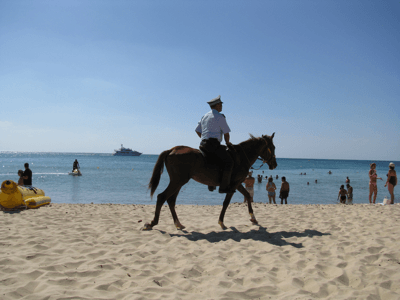 ai287.photobucket.com_albums_ll156_jmcreis_policia.png