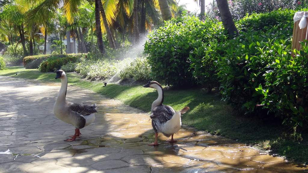 ai288.photobucket.com_albums_ll199_lipept_Republica_20Dominicana_DSC01433_zpsml4ownli.jpg