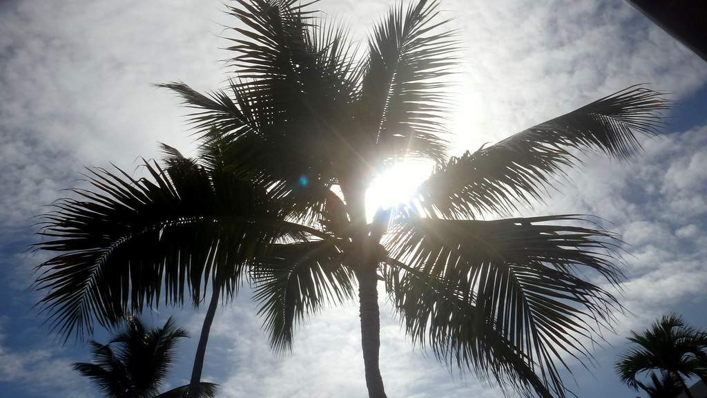 ai288.photobucket.com_albums_ll199_lipept_Republica_20Dominicana_DSC02054_zpsy97dzwrr.jpg