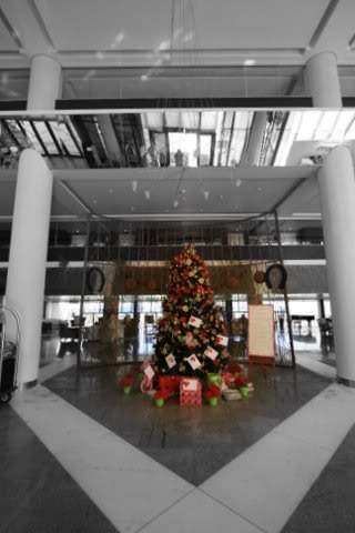 ai293.photobucket.com_albums_mm65_costaalves_Brasil_IMG_3667.jpg