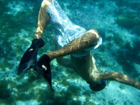 ai293.photobucket.com_albums_mm65_costaalves_Mexico_IMG_0630.jpg