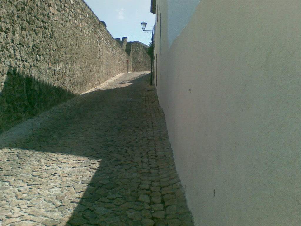ai295.photobucket.com_albums_mm128_nunofneves_27082008007.jpg