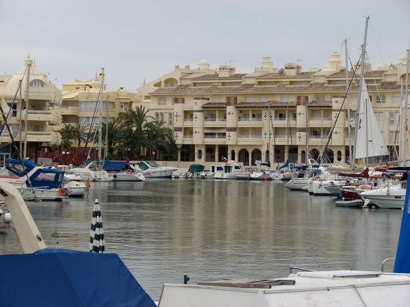 ai295.photobucket.com_albums_mm128_nunofneves_DSC01649.jpg