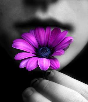 ai295.photobucket.com_albums_mm128_nunofneves_Flower.jpg