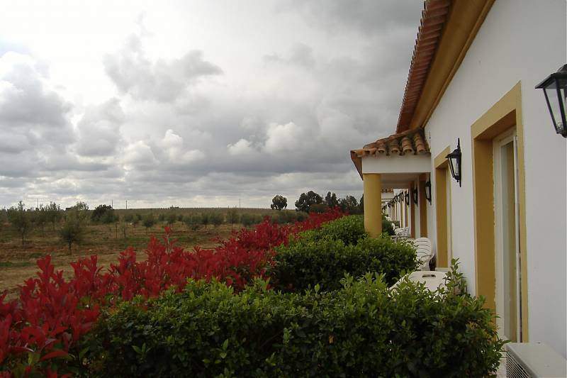 ai295.photobucket.com_albums_mm128_nunofneves_Portal_Alentejo1006.jpg