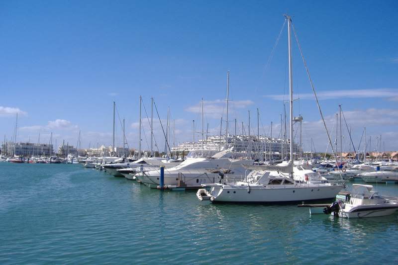 ai295.photobucket.com_albums_mm128_nunofneves_Portal_Algarve2008105.jpg