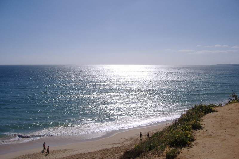 ai295.photobucket.com_albums_mm128_nunofneves_Portal_Algarve2008110.jpg