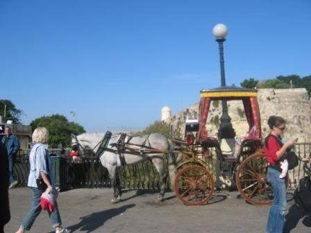 ai295.photobucket.com_albums_mm128_nunofneves_Portal_CruzeiroMediteranio11de2007402.jpg