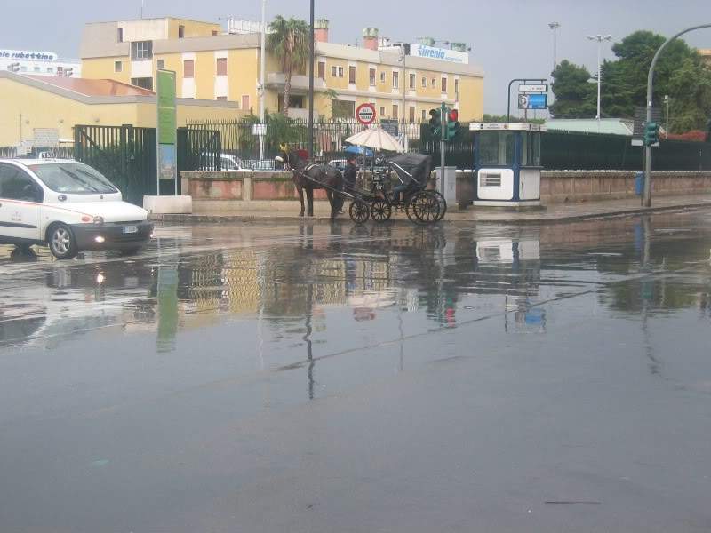 ai295.photobucket.com_albums_mm128_nunofneves_Portal_CruzeiroMediteranio11de2007583.jpg