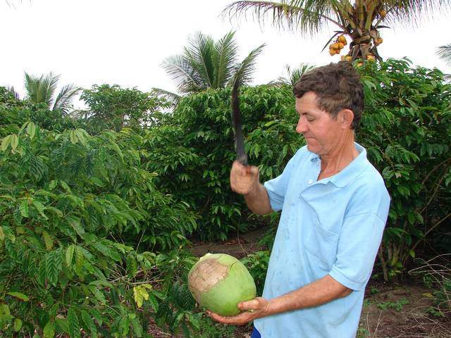 ai295.photobucket.com_albums_mm128_nunofneves_Portal_DSC01340640x480.jpg