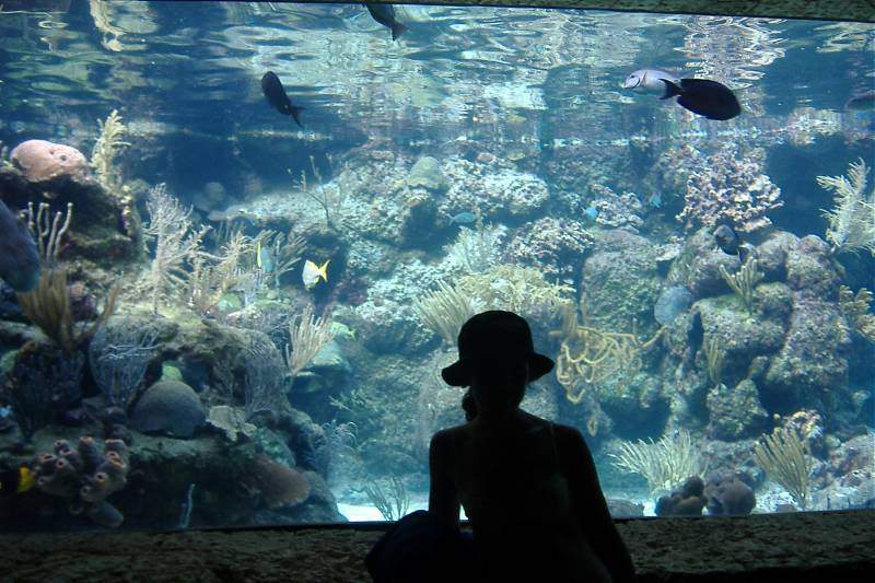 ai295.photobucket.com_albums_mm128_nunofneves_Portal_MEX07259.jpg