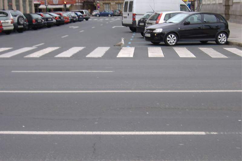 ai295.photobucket.com_albums_mm128_nunofneves_Portal_PassagemdAno2008135.jpg