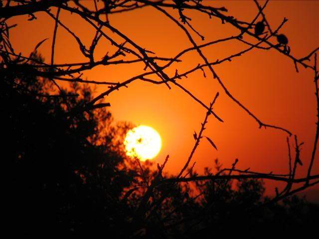 ai295.photobucket.com_albums_mm128_nunofneves_Portal_Pordosol_Lagoa.jpg