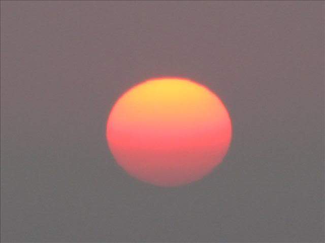 ai295.photobucket.com_albums_mm128_nunofneves_Portal_Pordosol_Sagres.jpg