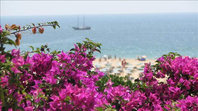 ai295.photobucket.com_albums_mm128_nunofneves_Portal_PraiadaRocha.jpg