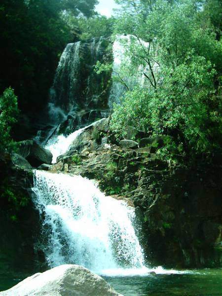 ai295.photobucket.com_albums_mm128_nunofneves_Portal_tahiti.jpg
