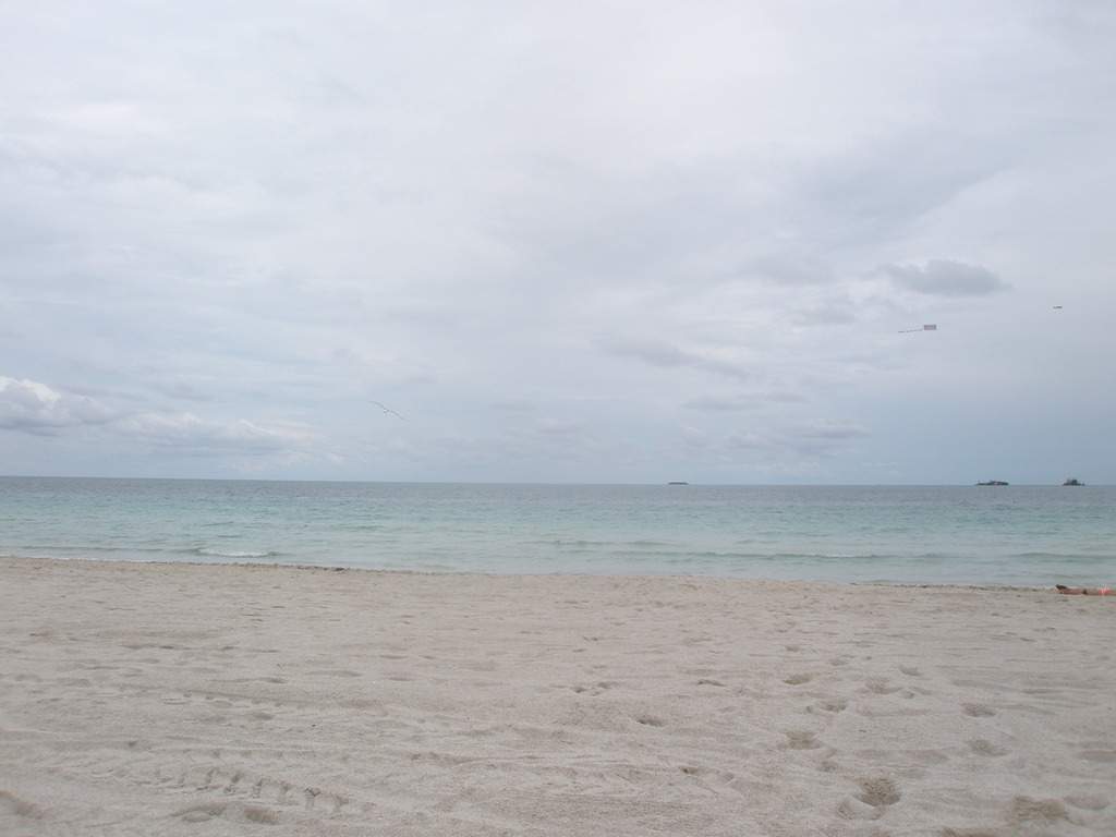 ai296.photobucket.com_albums_mm171_dianaes__PA210197_zpsvl6v9os6.jpg