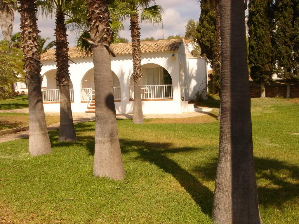 ai302.photobucket.com_albums_nn85_martinhapereira_DSC04327.jpg