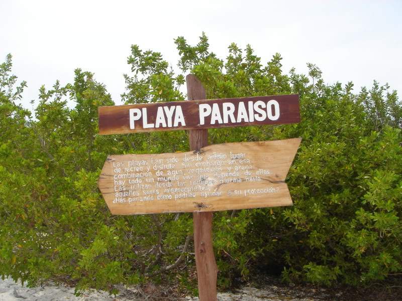 ai302.photobucket.com_albums_nn85_martinhapereira_DSC04833.jpg
