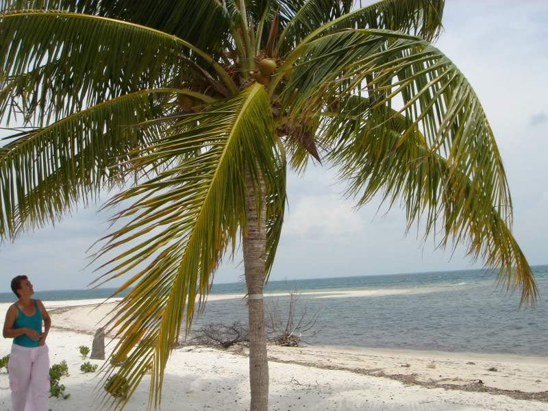 ai302.photobucket.com_albums_nn85_martinhapereira_DSC04836.jpg