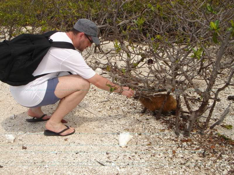 ai302.photobucket.com_albums_nn85_martinhapereira_DSC04843.jpg