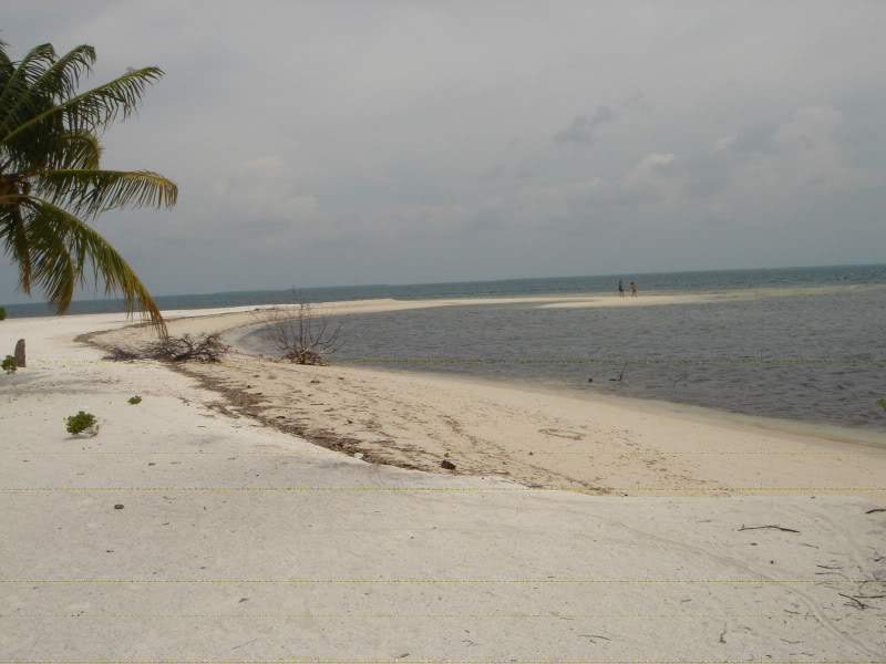 ai302.photobucket.com_albums_nn85_martinhapereira_DSC04868.jpg
