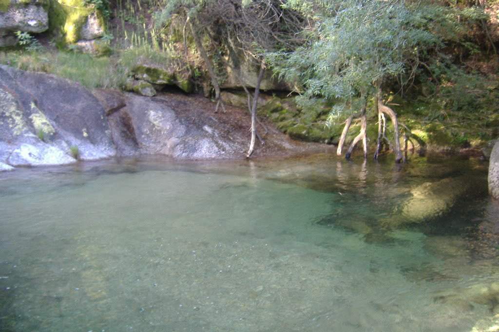 ai308.photobucket.com_albums_kk337_Ritapleite_Abadia003.jpg