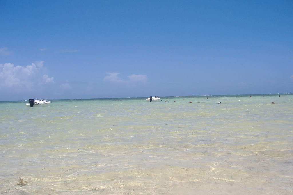 ai308.photobucket.com_albums_kk337_Ritapleite_DSCF3667.jpg