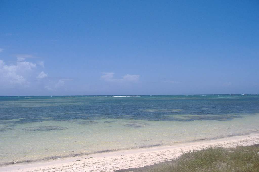 ai308.photobucket.com_albums_kk337_Ritapleite_DSCF3674.jpg