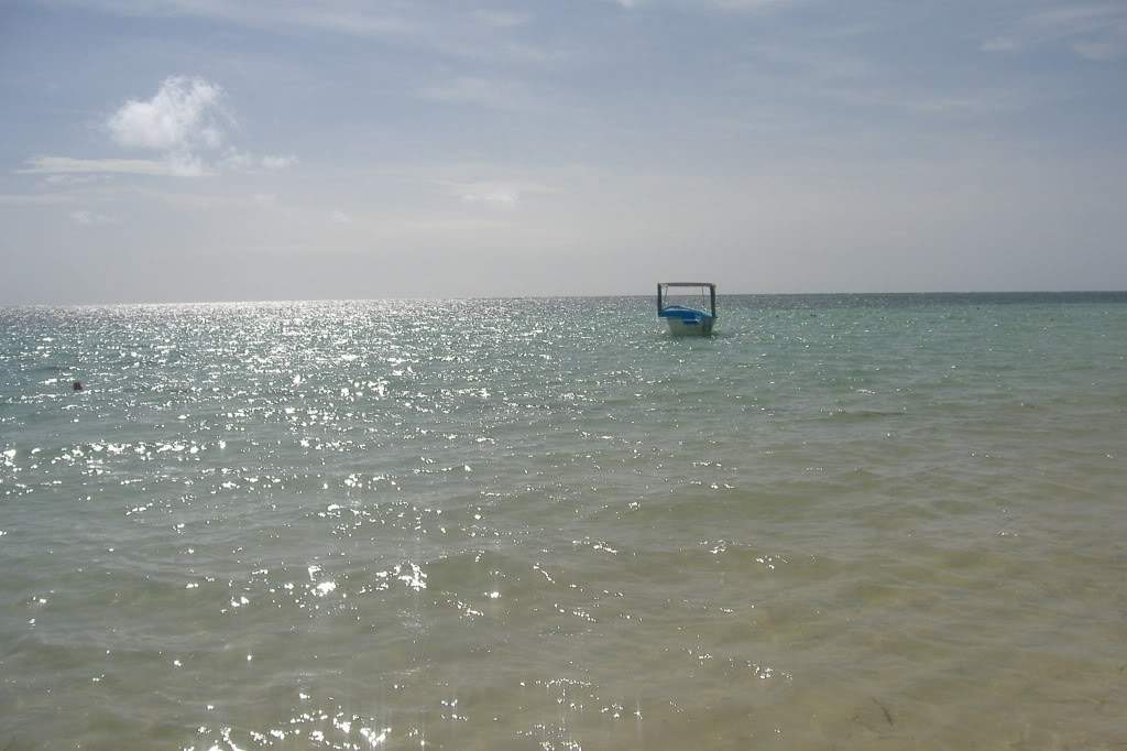 ai308.photobucket.com_albums_kk337_Ritapleite_DSCF3715.jpg