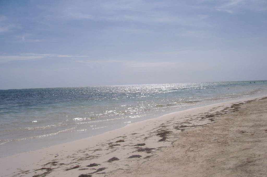 ai308.photobucket.com_albums_kk337_Ritapleite_DSCF3729.jpg