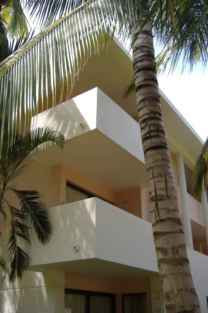 ai308.photobucket.com_albums_kk337_Ritapleite_DSCF3772.jpg