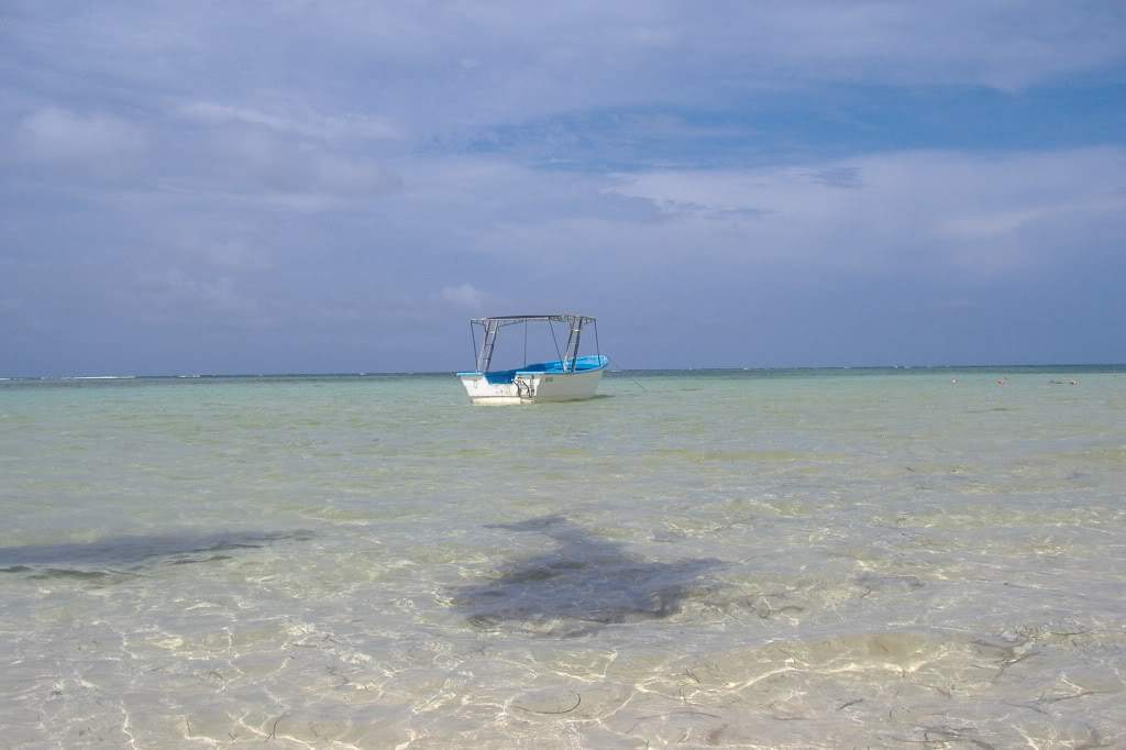 ai308.photobucket.com_albums_kk337_Ritapleite_DSCF3777.jpg