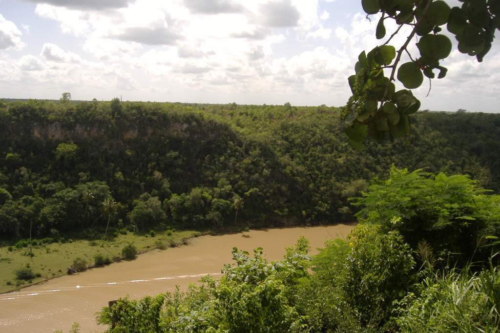 ai308.photobucket.com_albums_kk337_Ritapleite_DSCF3823.jpg