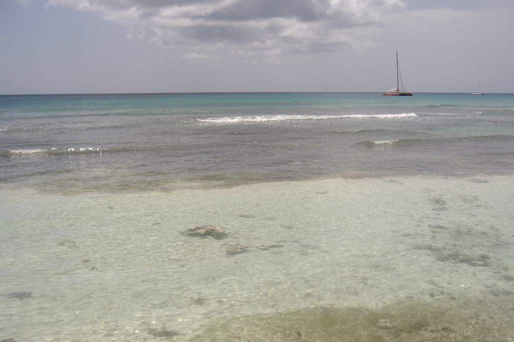 ai308.photobucket.com_albums_kk337_Ritapleite_DSCF3879.jpg