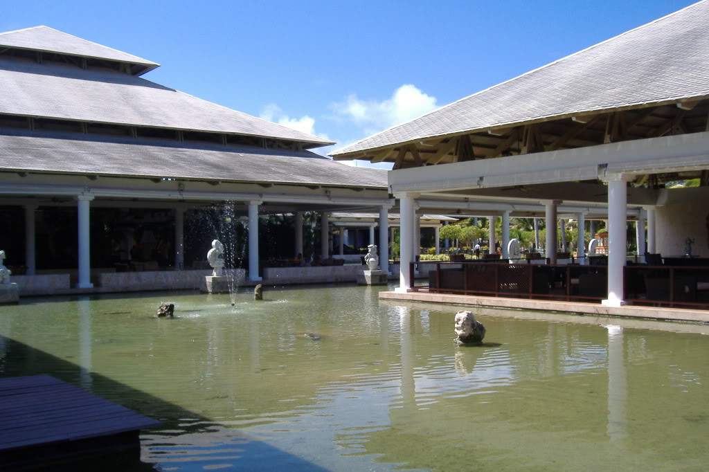 ai308.photobucket.com_albums_kk337_Ritapleite_DSCF3958.jpg