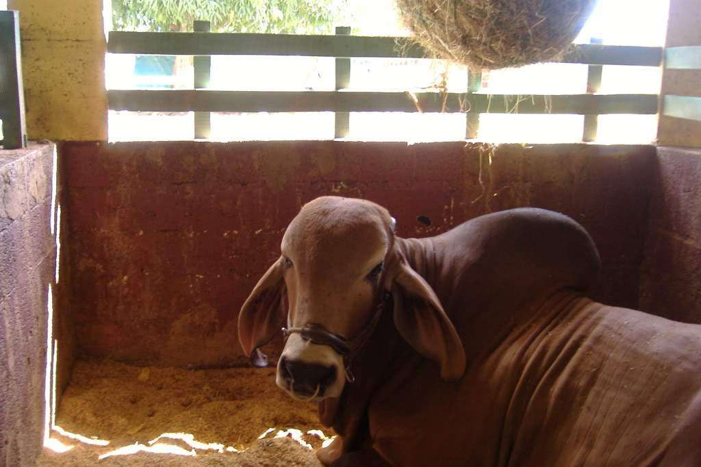 ai308.photobucket.com_albums_kk337_Ritapleite_DSCF4039.jpg