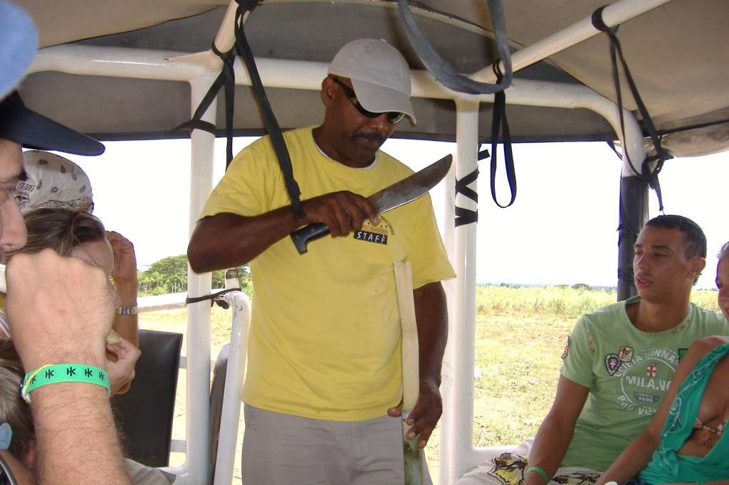 ai308.photobucket.com_albums_kk337_Ritapleite_DSCF4079.jpg