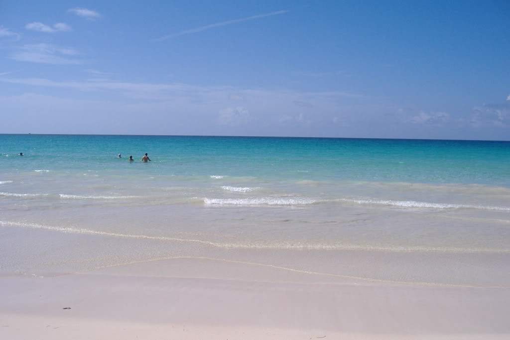 ai308.photobucket.com_albums_kk337_Ritapleite_DSCF4089.jpg